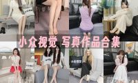 小众视觉：写真作品合集&含视频[46期/166G]
