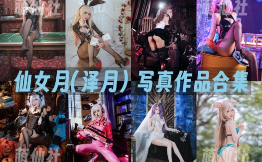 仙女月(泽月)：COS写真作品合集&含视频[20套/7.1G]
