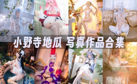 小野寺地瓜：COS写真作品合集[14套/2.2G]