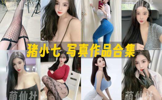 猪小七：微密圈-VIP收费写真套图合集&含视频[2套]