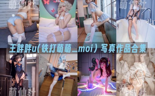 王胖胖u(铁打萌萌_moi)：COS写真作品合集&含视频[15套/5.8G]
