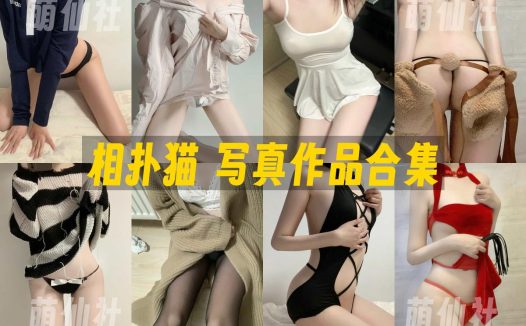 相扑猫：微密圈写真套图合集[38套]