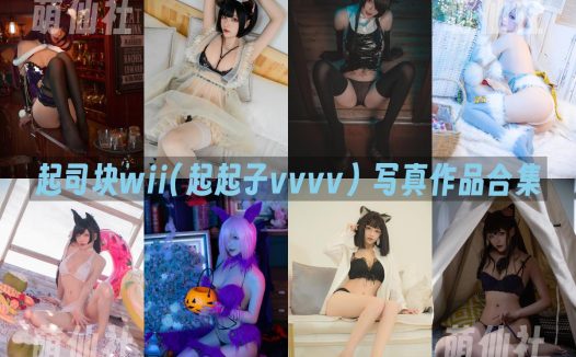 起司块wii(起起子vvvv)：COS写真作品合集&含视频[42套/19.2G]